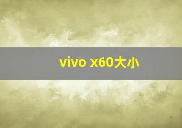 vivo x60大小